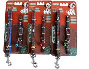 Ошейник с поводком 10мм*122см+30см (нейлон) (1854)