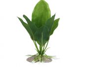 Искусственное растение 20см 
