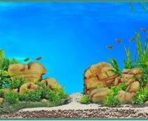 Композиция в стиле 