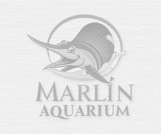 Артемия замороженная Натуральное меню Marlin 100мл купить с доставкой