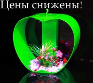 Купить аквариум в интернет магазине в Москве! 