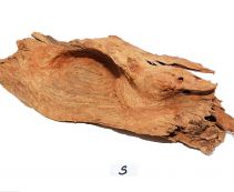 Коряга мангровая, размер S (KM-S-R)