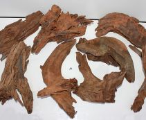 Коряга мангровая, размер M (KM-M-R)