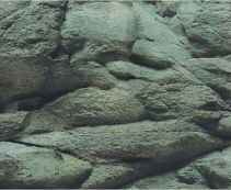 BOYU Фон для аквариума двухсторонний 30см*15м (J05/J07-30)