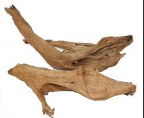 Коряга мангровая, размер XL. (58-66см.) (KM-XL-R)