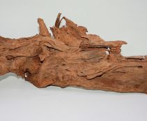 Коряга мангровая, размер XXL (68-85см.) (KM-XXL)