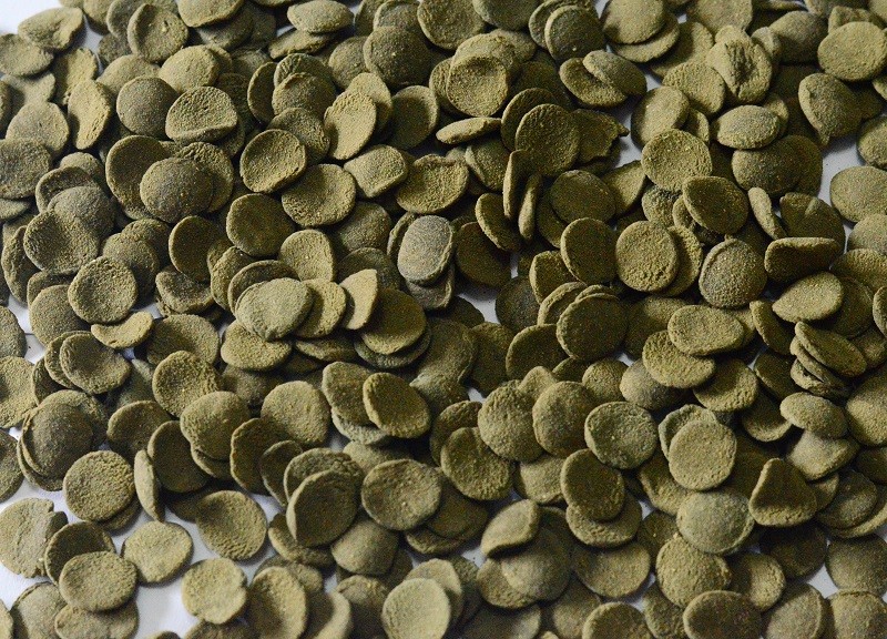 AQUAV Spirulina Wafer (Спирулина в пластинках для донных видов рыб) (SW ...